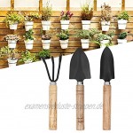 Nifocc Mini Gartenwerkzeug Set Pflanzwerkzeuge Holzgriff Eisen Rechen Spaten für Pflanze Blumen Sämlinge Topftransplantation und Graben 3 STK