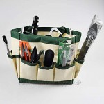 YTYLSJ 17-teiliges Mini-Gartenwerkzeug für Sukkulenten + Topfmatte für Pflanzen + Garten-Werkzeughalter grün
