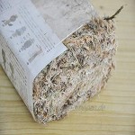 Dough.Q Sphagnum Moos natürliches Torfmoos-Substrat zur Feuchtigkeitsregulierung im Terrarium 12 Liter komprimierte Packung