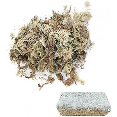 Dough.Q Sphagnum Moos natürliches Torfmoos-Substrat zur Feuchtigkeitsregulierung im Terrarium 12 Liter komprimierte Packung