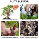 Grbewbonx Bonsai Pflanzen-Heilpaste Baum-Wundbeschneiden Verband für Pflanzen Veredelung