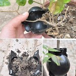 Guador Pflanzenwurzelbox 10 Stücke Wiederverwendbares Pflanzenwurzelgerät Asexuelle Fortpflanzung Hochdruck-Ausbreitungsball für Gartenpfropfung Wurzelbildung