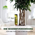Bio Green HW-4 Hydro Wine Pflanzenbewässerung 4-er Set Terracotta Kegel passend für Weinflaschen