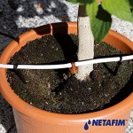 Netafim Balkon- und Topfpflanzen Bewässerungs-Kit