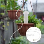 Niunion Gartenbewässerungsset 2-teiliges Bewässerungsset mit automatischer Bewässerung Selbstbewässernde Pflanze Flower Potted Waterer