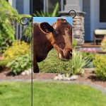 Liangbaiwan Gartenfahnen,Hofdekor Outdoor-Schild hängende Verzierung,Brown-Vieh-Kuh Vieh,für Terrasse Topfdeck 12x18 Zoll