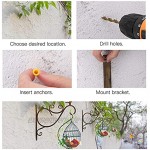 Pflanzenhalterung Blumenampelhalter Eisen Wandhaken Blumenampel Wandhalter Haken Wandbehang Pflanzenhalterung