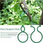Suxgumoe Pflanzenclips 200 Stück Green Garden Plant Support Clips Twist Pflanzenringe zur Sicherung von Pflanzenblüten-Gemüse