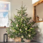 KADAX Weihnachtsbaumständer aus Stahl Ständer für Baum Stabiler Christbaumständer mit Wasserbehälter Tannenbaumständer mit Knöpfen Verschiedene Großen grün Breite: 51 cm