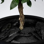 25 kg Deutscher Schiefersplitt in verschiedenen Größen schwarzer Naturstein Splitt ideal zur Gartengestaltung Schiefer Splitt 70-200 mm