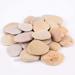 ROCKIMPACT 24 beige Steine zum bemalen natürliche Flussfelsen mit glatter Oberfläche für Kunsthandwerk 5-8 cm