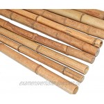 1 Stück Bambusrohr 200cm gelbbraun Durch. 3 bis 4cm hitzebehandelt - Bambus Bambusrohre Bamboo Bambusstangen