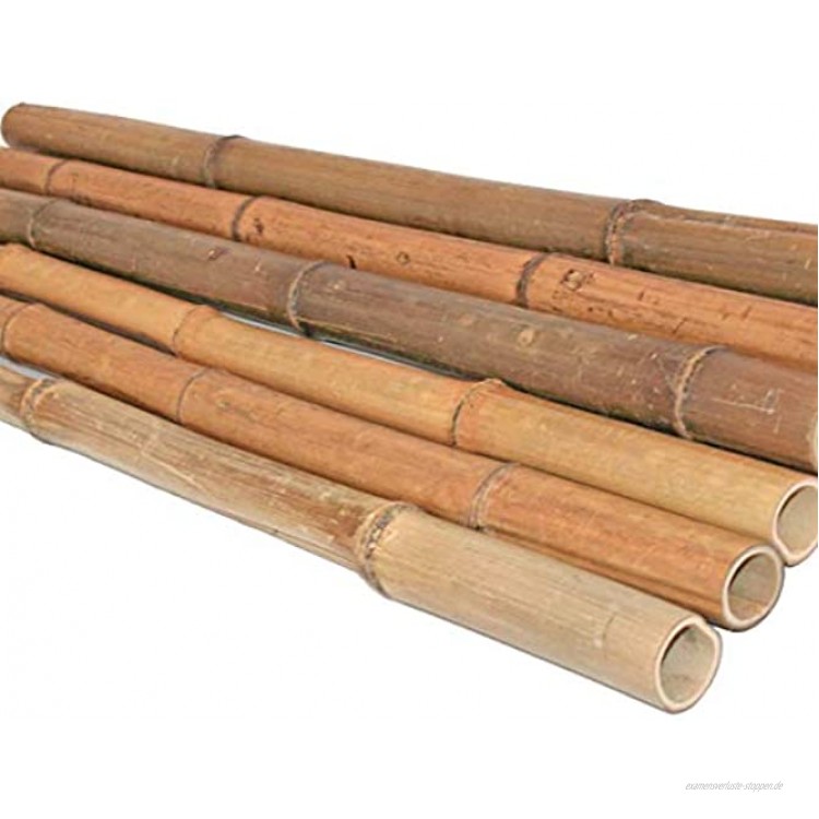 1 Stück Bambusrohr 200cm gelbbraun Durch. 3 bis 4cm hitzebehandelt - Bambus Bambusrohre Bamboo Bambusstangen