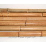 1 Stück Moso Bambusrohr gelbbraun 150cm Durch. 7 bis 8cm unbehandelt im Ofen getrocknet Bambus Bambusrohre Bamboo Bambusstangen