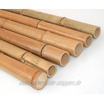 1 Stück Moso Bambusrohr gelbbraun 150cm Durch. 7 bis 8cm unbehandelt im Ofen getrocknet Bambus Bambusrohre Bamboo Bambusstangen