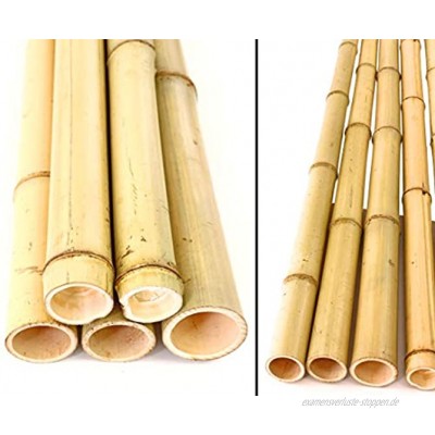 1x Bambusrohr gelb 150cm Moso Bambus Gebleicht Durch. 4,8-6cm Bambus ist eine Natur Superfaser mit besonderen Eigenschaften