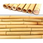 1x Bambusrohr gelb Moso Bambus Gebleicht Durch. 3,5-5cm Länge 200cm Moso Bambusrohr für den BAU von Möbeln