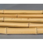 1x Bambusrohr gelb Moso Bambus Gebleicht Durch. 3,5-5cm Länge 200cm Moso Bambusrohr für den BAU von Möbeln