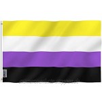 Anley Fly Breeze 3x5 Fuß Non-Binary Pride Flag Lebendige Farbe und UV-beständig Doppelt genäht NB Pride Genderqueer Gender Identity Flags Polyester mit Messingösen 3X5 Ft