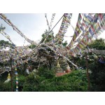 GURU SHOP Tibetische Gebetsfahne in Verschiedenen Längen 25 Wimpel Viskose Länge: 6,80 m Lang Wimpel 30x20 Cm Gebetsfahnen
