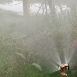 4 Löcher Messing Sprühdüse Außengewinde anschluss Gartensprinkler Garten Misting Sprinkler Montage Schlauch Wasseranschluss Rohranschluss inklusive für Gartengeräte und Landwirtschaft