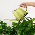 Delmkin Gießkanne 1.4L Kunststoff Gieskanne mit Langem Auslauf Gartengießkanne für Innen- und Außenbereich Grün