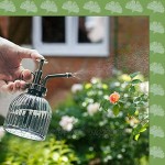 YUQIN Glasbewässerungssprayflasche,Kunststoffknopf Pflanzensprüher,Gießkanne Klein Glas Pflanzen,zum Gießen Kleiner Pflanzen im Haus oder im Büro Grau