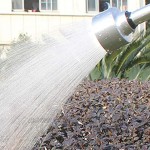 SANGDA Bewässerungsstab aus Aluminium 45,7 cm mit 2000 Netz-Schlauch Duschkopf Wassersprüher Reinigungswerkzeug für Rasen Blumen Sträucher Garten